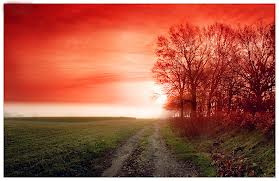 Red Morning